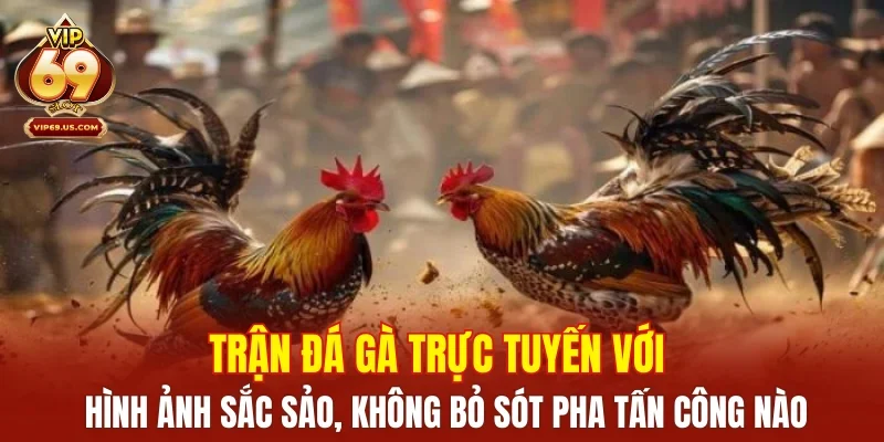 Trận đá gà trực tuyến với hình ảnh sắc sảo, không bỏ sót pha tấn công nào