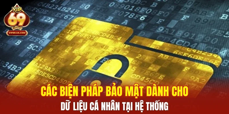 Các biện pháp bảo mật dành cho dữ liệu cá nhân tại hệ thống