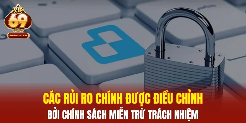 Các rủi ro chính được điều chỉnh bởi chính sách miễn trừ trách nhiệm